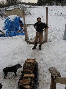 Callie checks out the load of wood, while I relax in a tee shirt in the balmy 40 degree weather.