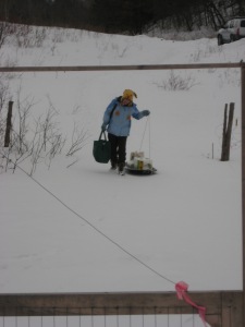 Jenny bringing in the groceries on our sled in February.